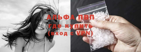 прущие грибы Сатка