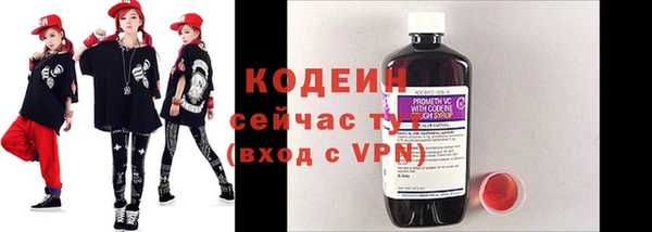 прущие грибы Сатка