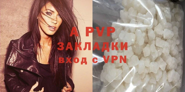 прущие грибы Сатка